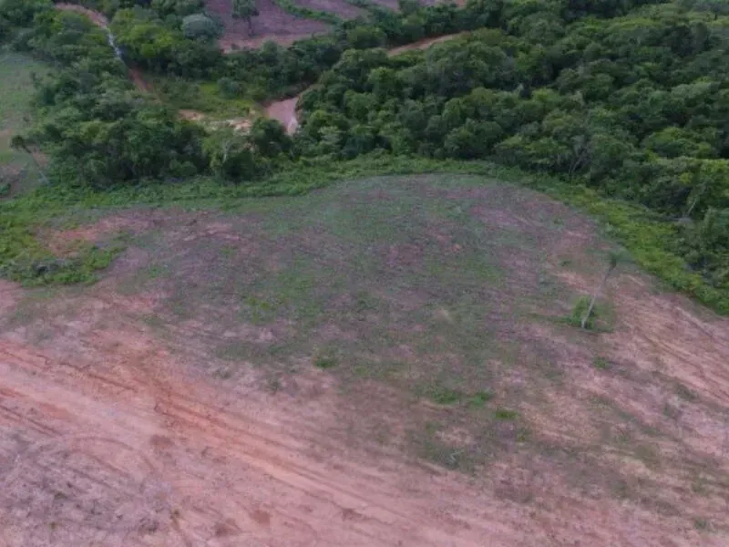 Imagem de compartilhamento para o artigo MP arquiva investigação sobre suposto desmatamento em fazenda de Camapuã após laudos afastarem irregularidade da MS Todo dia